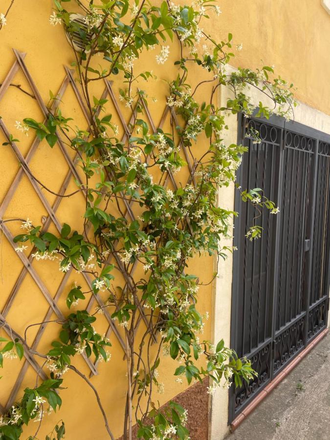 B&B Mela Roggiano Gravina Kültér fotó